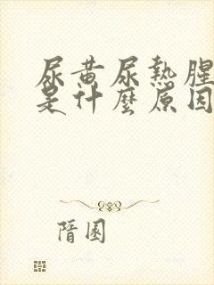 尿黄尿热腥臭味是什么原因