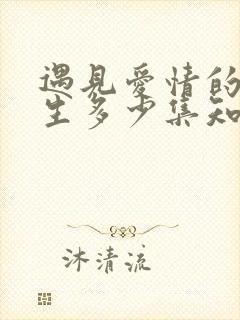 遇见爱情的利先生多少集知道身世