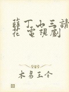 薛丁山三请樊梨花 电视剧