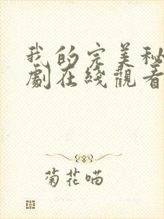 我的完美秘书韩剧在线观看