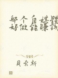 哪个自媒体比较好做能赚钱