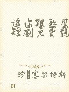 追你跟熬鹰似的短剧免费观看全集