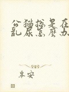 公猫总是在家里乱尿怎么办