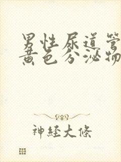 男性尿道管痒有黄色分泌物封面