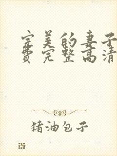 完美的妻子5免费完整高清电视剧在线看韩剧