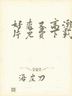 好爽又高潮了毛片免费下载