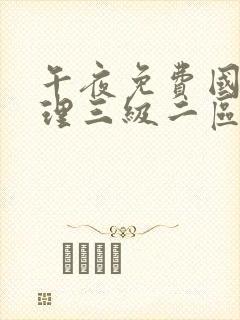 午夜免费国产伦理三级二区封面