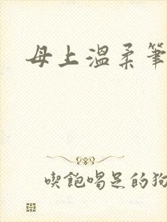 母上温柔笔趣阁封面