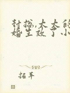 封总,太太的离婚生效了小说免费阅读封面