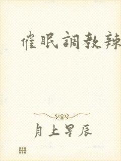 催眠调教辣文