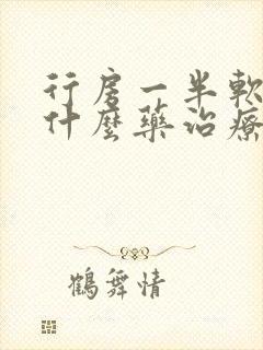 行房一半软了吃什么药治疗