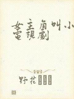 女主角叫小云的电视剧封面