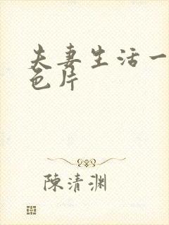 夫妻生活一级黄色片