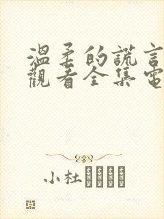 温柔的谎言免费观看全集电视剧