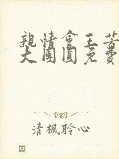 亲情会王芳高敏大团圆免费阅读