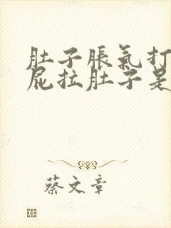 肚子胀气打嗝放屁拉肚子是怎么回事