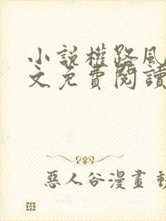 小说权路风云全文免费阅读