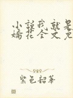 小说我就是如此娇花全文免费阅读