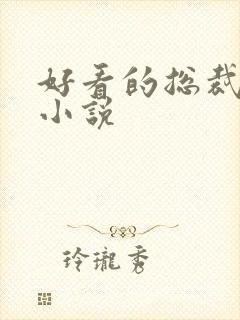 好看的总裁豪门小说封面