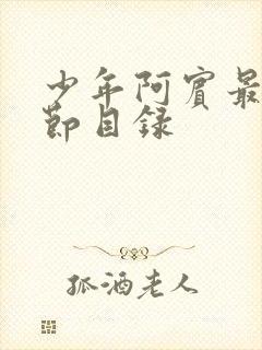 少年阿宾最新章节目录