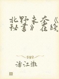 北野未奈《巨乳秘书》在线