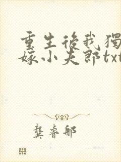 重生后我独宠替嫁小夫郎txt