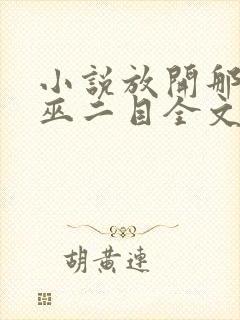 小说放开那个女巫二目全文阅读免费封面