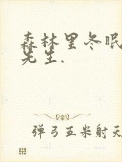 森林里冬眠的熊先生.封面