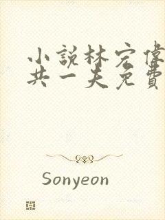 小说林宏伟三女共一夫免费阅读