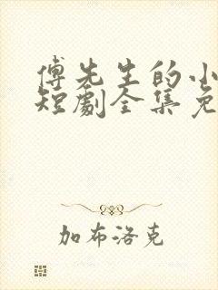 傅先生的小作精短剧全集免费观看