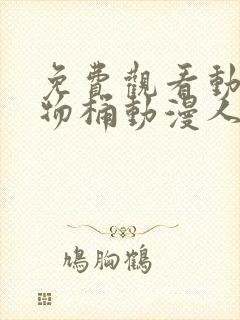 免费观看动漫人物桶动漫人物