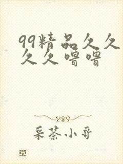 99精品久久久久久噜噜封面