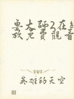 鲁大师2在线播放免费观看下载封面