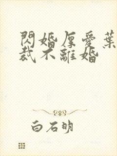 闪婚厚爱叶少总裁不离婚