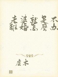 老婆就是不愿意离婚怎么办