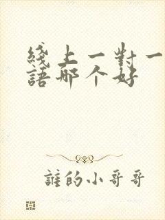 线上一对一学英语哪个好