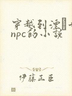 穿越到湮婸世界npc的小说