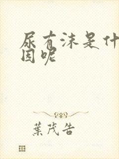 尿有沫是什么原因呢