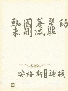 韩国华丽的外出未删减版