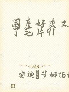 国产好爽又高潮了毛片91