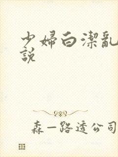 少妇白洁乱欲小说