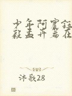 少年阿宾钰慧小毅孟卉篇在线阅读