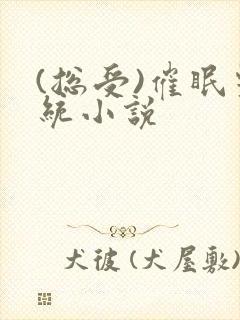 (总受)催眠系统小说