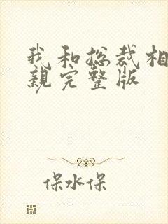 我和总裁相了个亲完整版