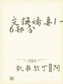 交换娇妻1一36部分