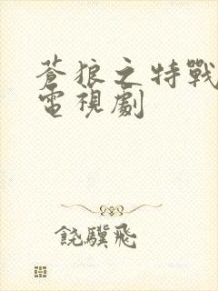 苍狼之特战突击电视剧