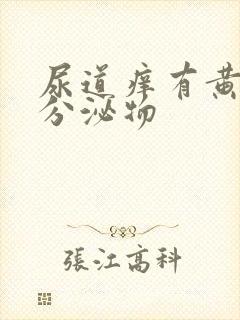 尿道痒有黄绿色分泌物