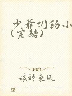 少爷们的小男仆(完结)