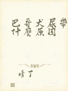 巴哥犬尿带血是什么原因