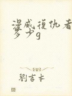 漫威复仇者联盟多少g